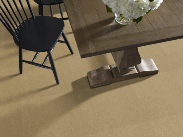 Philadelphia Commercial Carpet Emphatic Ii 36 Honeywheat 56243_54256 - Image 2