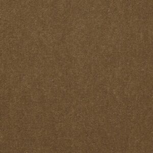 Philadelphia Commercial Carpet Emphatic Ii 36 Cajun 56250_54256