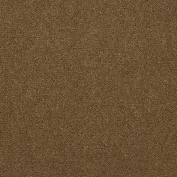 Philadelphia Commercial Carpet Emphatic Ii 36 Cajun 56250_54256