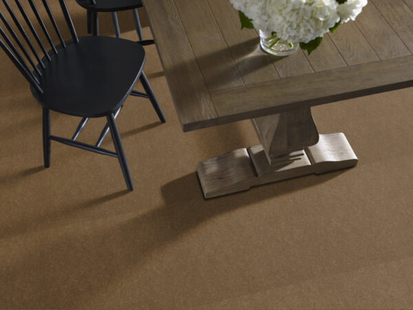 Philadelphia Commercial Carpet Emphatic Ii 36 Cajun 56250_54256 - Image 2