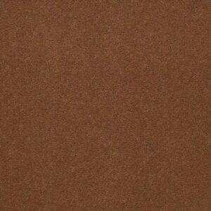 Philadelphia Commercial Carpet Emphatic Ii 36 Canyon Rim 56291_54256