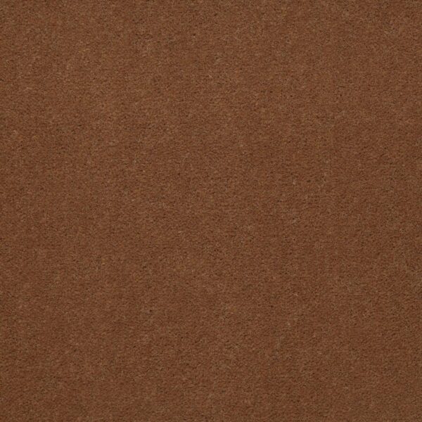 Philadelphia Commercial Carpet Emphatic Ii 36 Canyon Rim 56291_54256