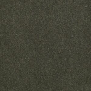 Philadelphia Commercial Carpet Emphatic Ii 36 Thyme 56314_54256