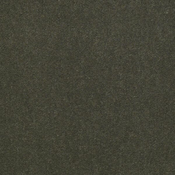 Philadelphia Commercial Carpet Emphatic Ii 36 Thyme 56314_54256