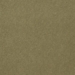Philadelphia Commercial Carpet Emphatic Ii 36 Tea Green 56321_54256