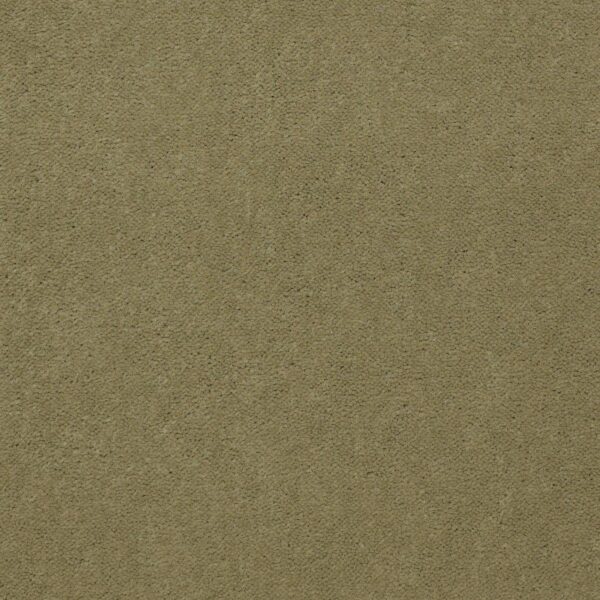 Philadelphia Commercial Carpet Emphatic Ii 36 Tea Green 56321_54256