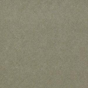 Philadelphia Commercial Carpet Emphatic Ii 36 Dew Green 56322_54256
