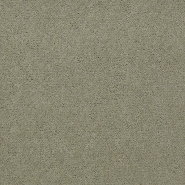 Philadelphia Commercial Carpet Emphatic Ii 36 Dew Green 56322_54256