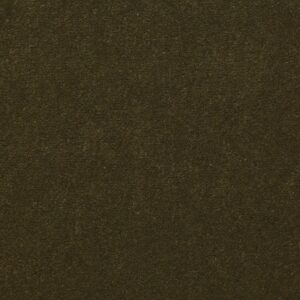 Philadelphia Commercial Carpet Emphatic Ii 36 Venetian Green 56324_54256
