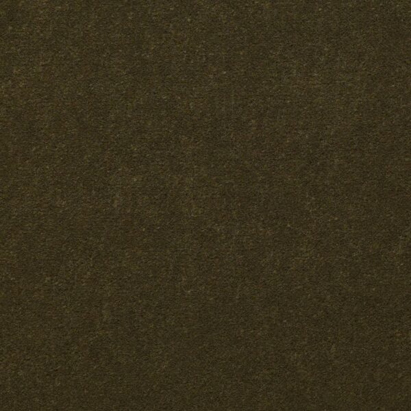 Philadelphia Commercial Carpet Emphatic Ii 36 Venetian Green 56324_54256