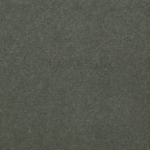 Philadelphia Commercial Carpet Emphatic Ii 36 Dried Sage 56341_54256