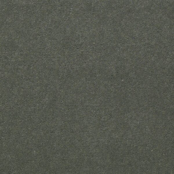 Philadelphia Commercial Carpet Emphatic Ii 36 Dried Sage 56341_54256