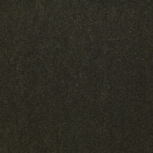 Philadelphia Commercial Carpet Emphatic Ii 36 Artichoke 56350_54256