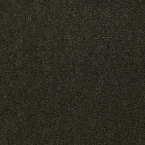 Philadelphia Commercial Carpet Emphatic Ii 36 Artichoke 56350_54256