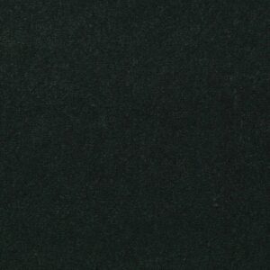 Philadelphia Commercial Carpet Emphatic Ii 36 Mountain Pine 56366_54256