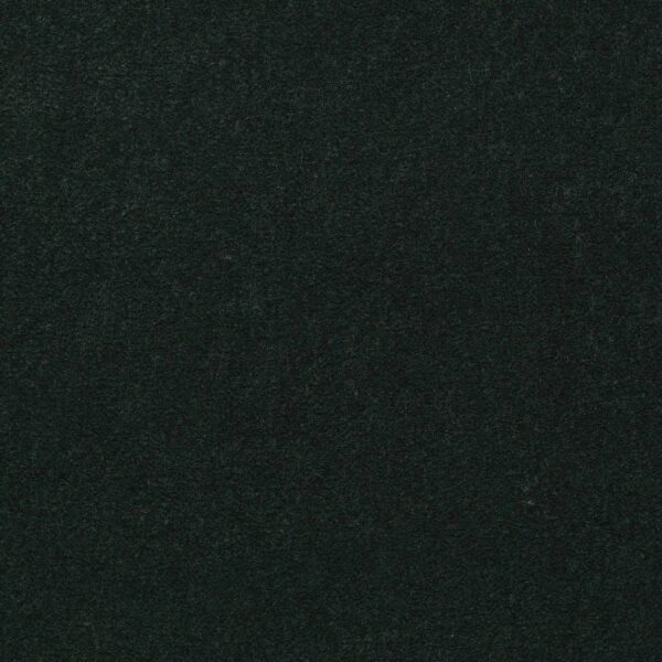 Philadelphia Commercial Carpet Emphatic Ii 36 Mountain Pine 56366_54256