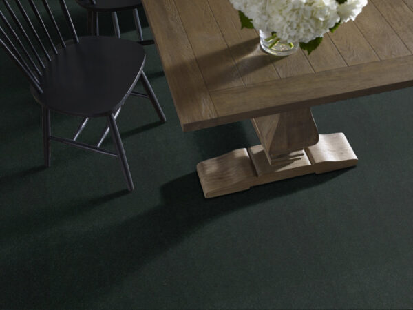 Philadelphia Commercial Carpet Emphatic Ii 36 Mountain Pine 56366_54256 - Image 2