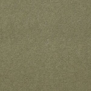 Philadelphia Commercial Carpet Emphatic Ii 36 Island Green 56370_54256
