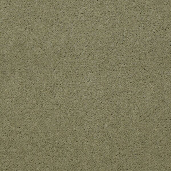 Philadelphia Commercial Carpet Emphatic Ii 36 Island Green 56370_54256