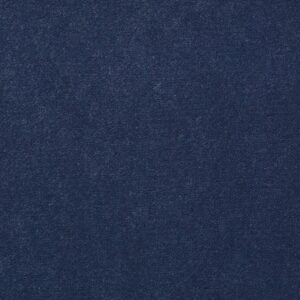 Philadelphia Commercial Carpet Emphatic Ii 36 Moonshadow 56462_54256
