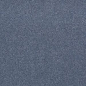 Philadelphia Commercial Carpet Emphatic Ii 36 Holland Blue 56464_54256