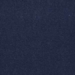Philadelphia Commercial Carpet Emphatic Ii 36 Deep Waters 56491_54256