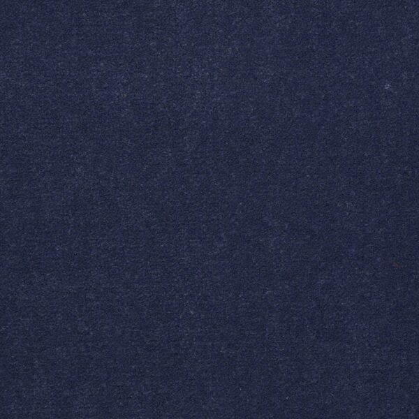 Philadelphia Commercial Carpet Emphatic Ii 36 Deep Waters 56491_54256