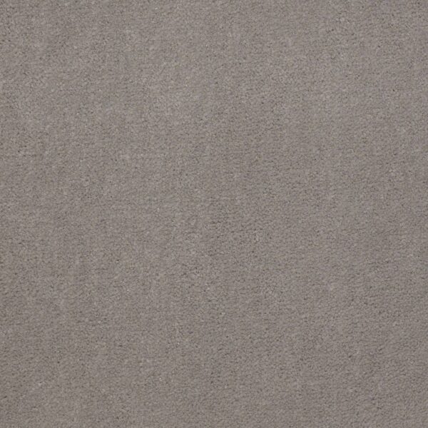 Philadelphia Commercial Carpet Emphatic Ii 36 Gray Hare 56510_54256
