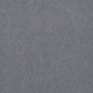 Philadelphia Commercial Carpet Emphatic Ii 36 Platinum 56544_54256