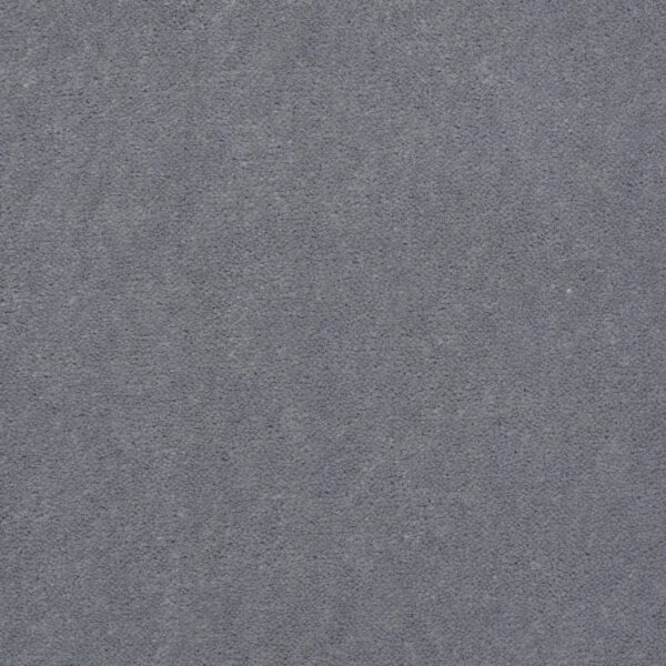 Philadelphia Commercial Carpet Emphatic Ii 36 Platinum 56544_54256