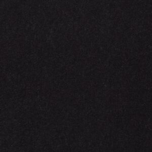 Philadelphia Commercial Carpet Emphatic Ii 36 Coal Mine 56545_54256