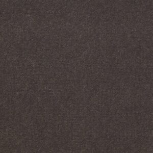 Philadelphia Commercial Carpet Emphatic Ii 36 Sandy Taupe 56595_54256