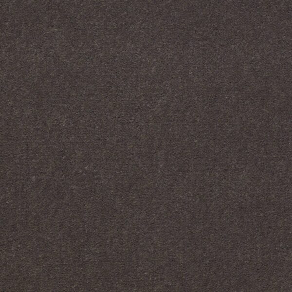 Philadelphia Commercial Carpet Emphatic Ii 36 Sandy Taupe 56595_54256