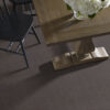 Philadelphia Commercial Carpet Emphatic Ii 36 Sandy Taupe 56595_54256 - Image 2