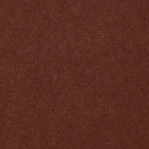 Philadelphia Commercial Carpet Emphatic Ii 36 Sundance 56620_54256