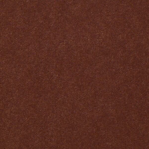 Philadelphia Commercial Carpet Emphatic Ii 36 Sundance 56620_54256