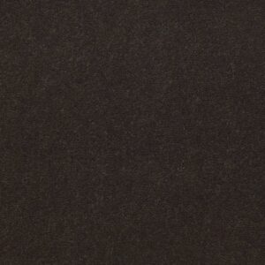 Philadelphia Commercial Carpet Emphatic Ii 36 Brocade 56710_54256