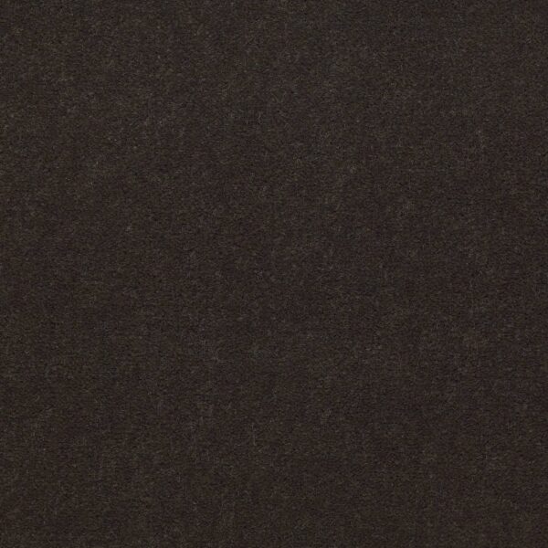 Philadelphia Commercial Carpet Emphatic Ii 36 Brocade 56710_54256