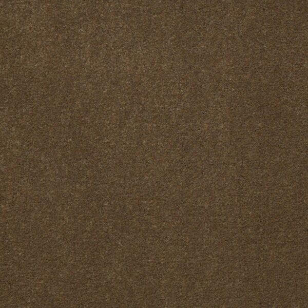 Philadelphia Commercial Carpet Emphatic Ii 36 Sugar Maple 56713_54256