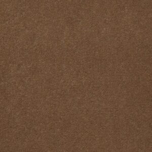 Philadelphia Commercial Carpet Emphatic Ii 36 Camelback 56721_54256