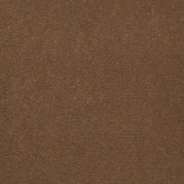 Philadelphia Commercial Carpet Emphatic Ii 36 Camelback 56721_54256