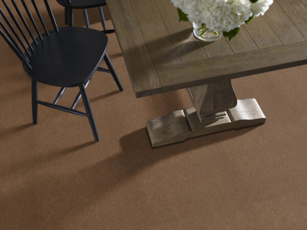 Philadelphia Commercial Carpet Emphatic Ii 36 Camelback 56721_54256 - Image 2