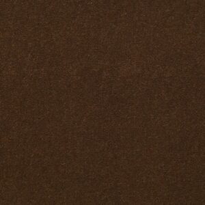 Philadelphia Commercial Carpet Emphatic Ii 36 Cinnamon Sugar 56722_54256