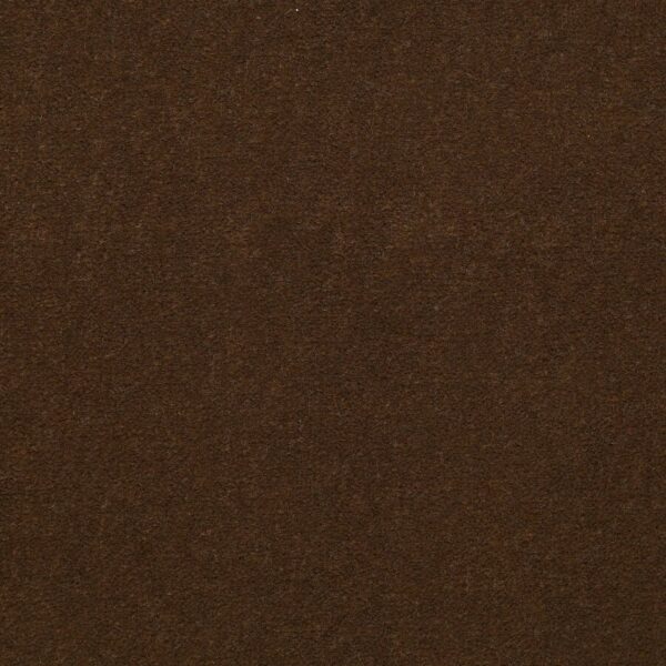 Philadelphia Commercial Carpet Emphatic Ii 36 Cinnamon Sugar 56722_54256