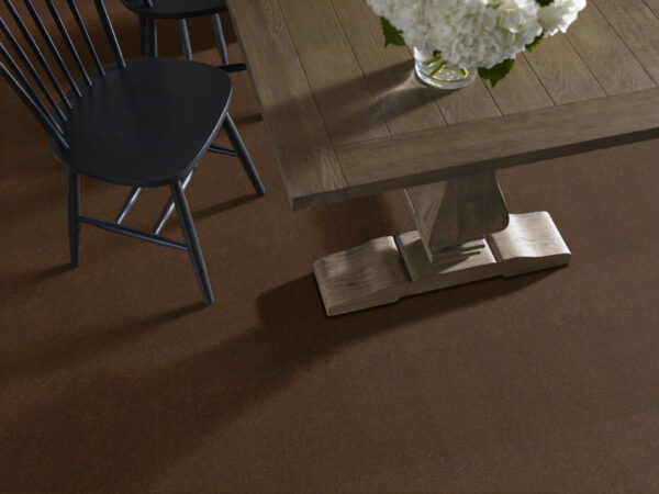 Philadelphia Commercial Carpet Emphatic Ii 36 Cinnamon Sugar 56722_54256 - Image 2