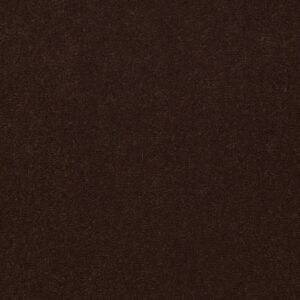 Philadelphia Commercial Carpet Emphatic Ii 36 Hazelnut 56724_54256