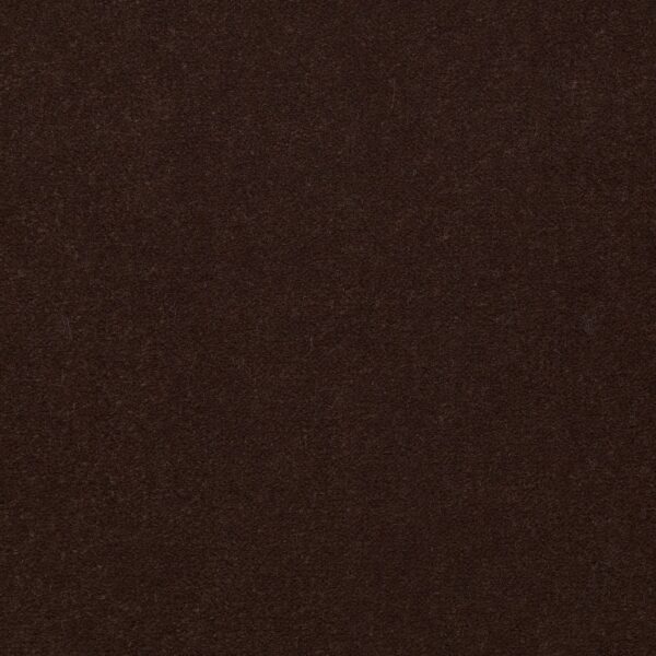 Philadelphia Commercial Carpet Emphatic Ii 36 Hazelnut 56724_54256