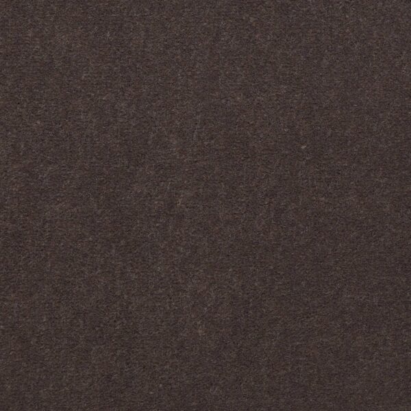 Philadelphia Commercial Carpet Emphatic Ii 36 Raisin 56726_54256