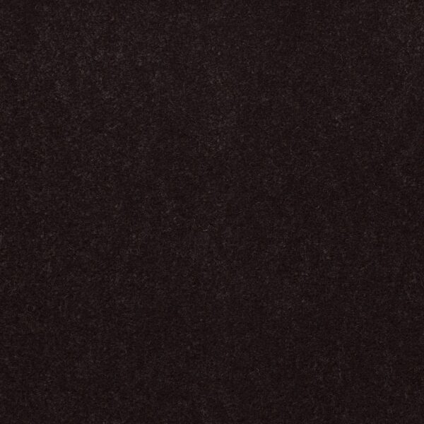Philadelphia Commercial Carpet Emphatic Ii 36 Coffee Bean 56731_54256