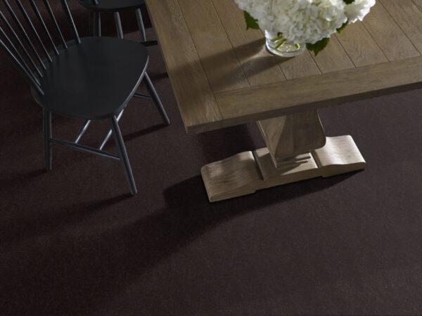 Philadelphia Commercial Carpet Emphatic Ii 36 Coffee Bean 56731_54256 - Image 2